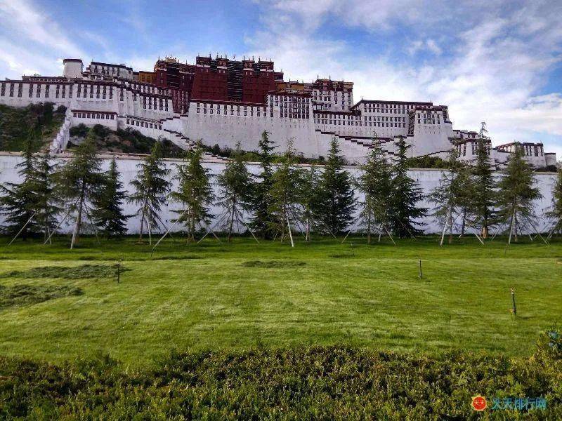 2020各省上半年人均g_各省人均寿命