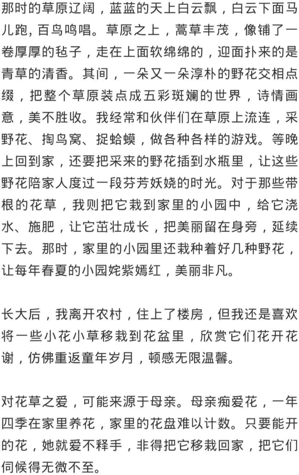 野花|【酱紫FM】野花同样值得敬畏