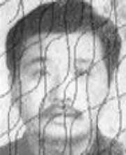 苍南县灵溪镇gdp2020_2020年生肖灵码表图片(2)