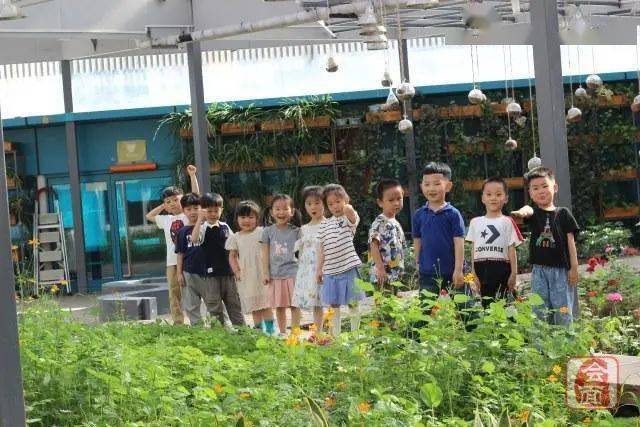 教育|河南师范大学在郑州的第一所小学长啥样？ 先睹为快！