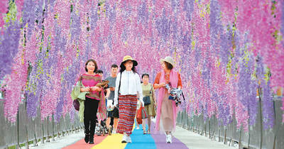 动力|消费为经济循环添动力