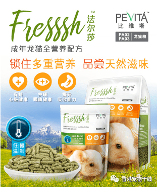 主人|龙猫应该吃什么?主人可千万别搞错!