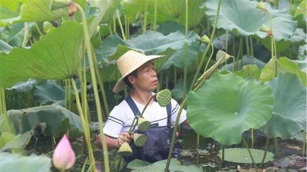 招聘|这个行业厉害了！一季度招聘需求同比大涨132%