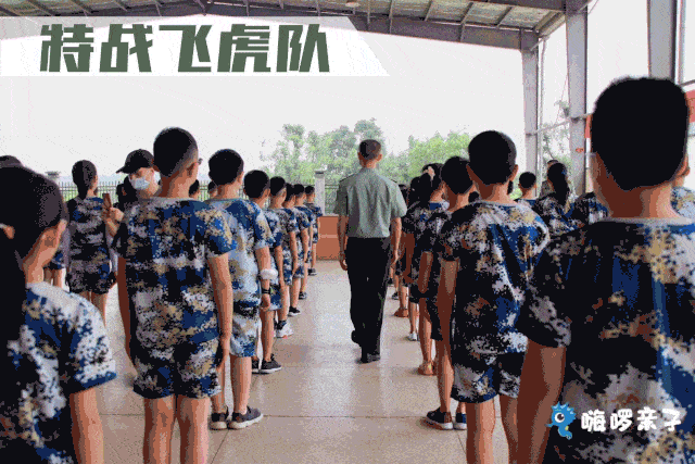 ‘宝博体育APP官方网站’
军事夏令营回首(图1)