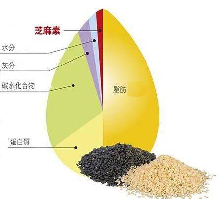 患者|【有肾说甚】第19期|警惕!肾病患者吃黑色食品一定有益吗?