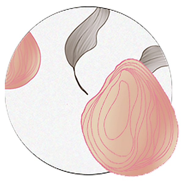 星球|你的车异味难除？试试这个dior大牌同厂的车载香薰！