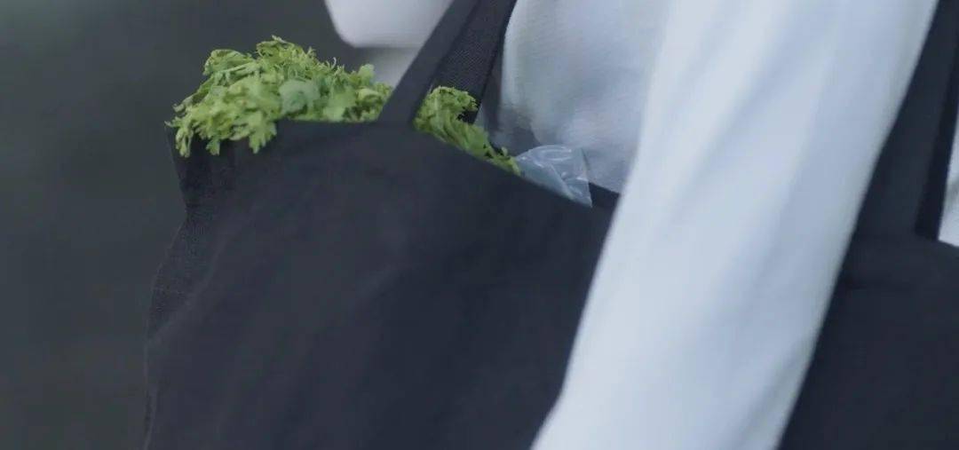 职场|三十而立的姐姐们一起来乘风破浪吧！