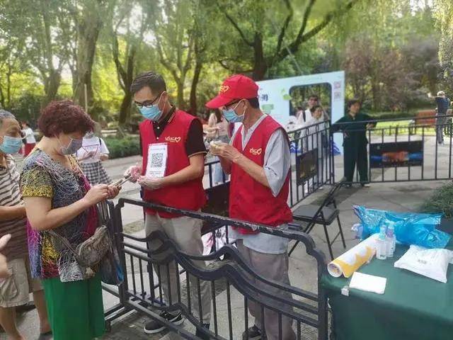 西湖|西湖本塘荷叶莲蓬开卖：老杭州凌晨4点排队，不到半小时抢空