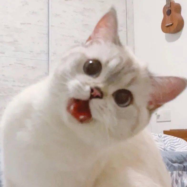 奶凶~奶凶的表情包