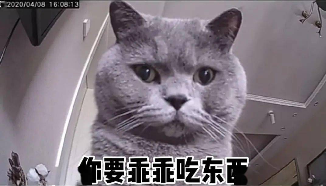 90c59d0837864f348c73399e5ae847c4.jpeg