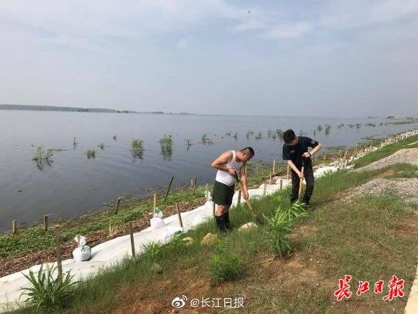 防汛|高考生再上堤，学会了烧菜做饭，感觉自己更像大人了