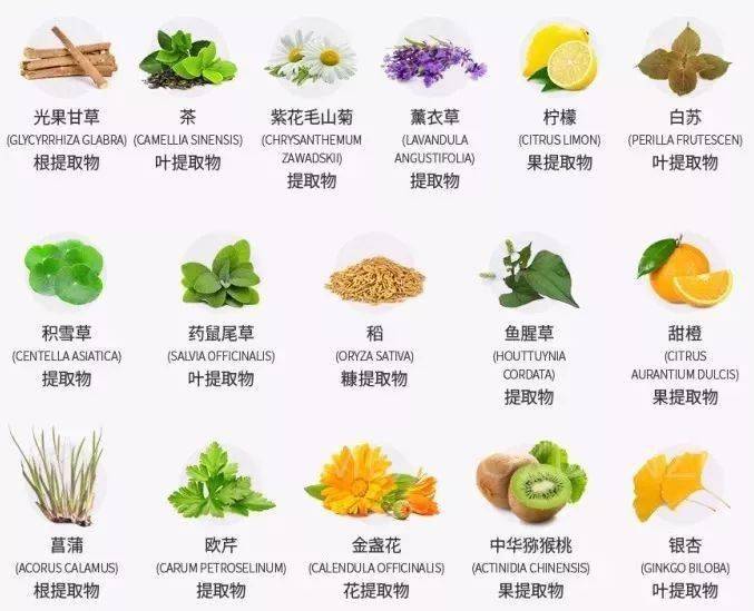 头发|堪称史上最快的懒人法宝，8秒干枯的发质立马变身柔顺、飘逸、有弹性的“绸缎发”？！