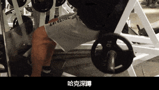 背部|【健康】怎么有那么多好看的腿!