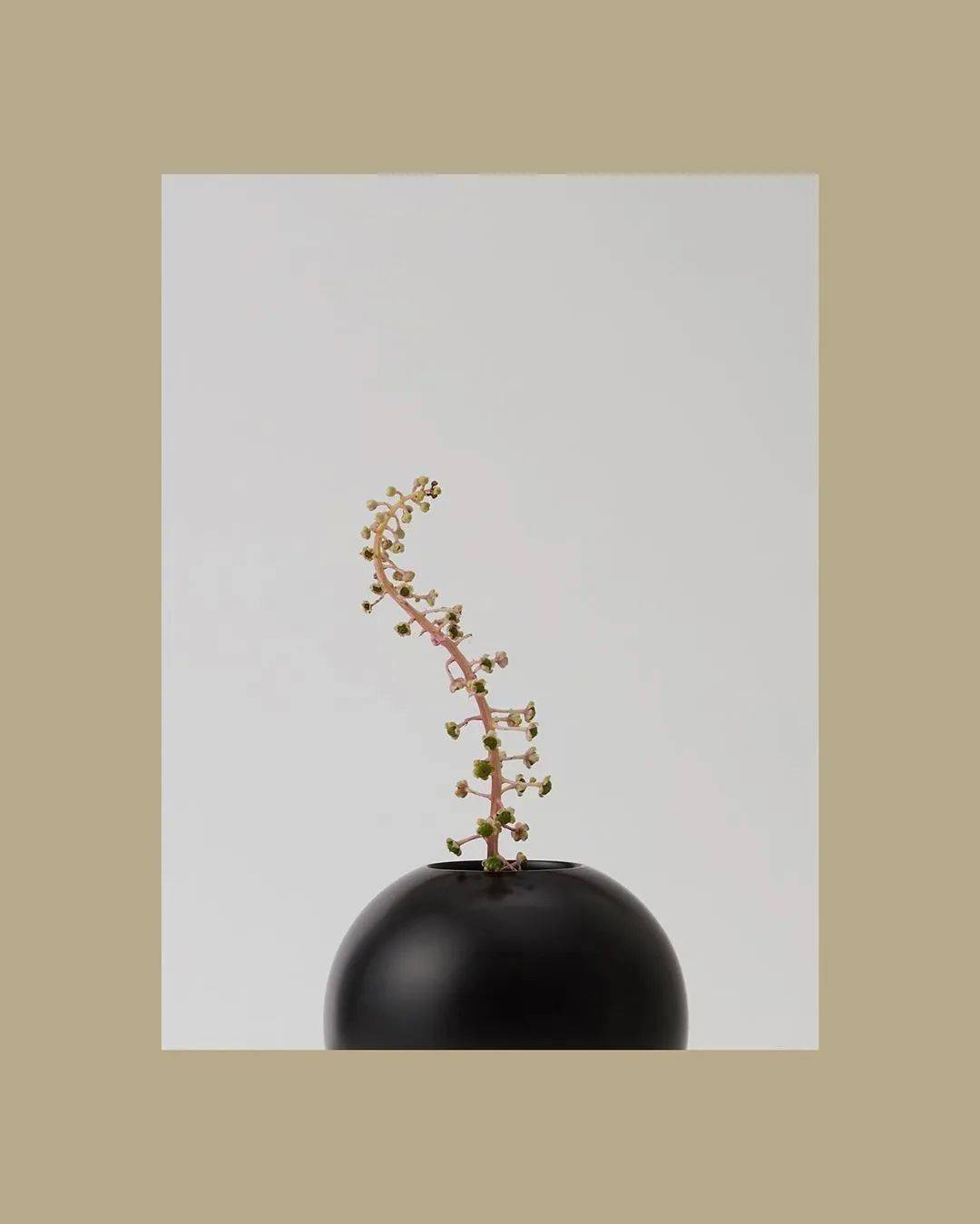 Helle|“长得这么好看，花瓶就花瓶吧”