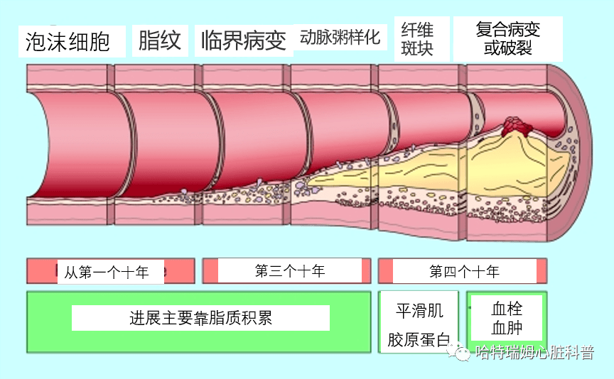 65b9e0e614b04f079384e2d7be539442.png