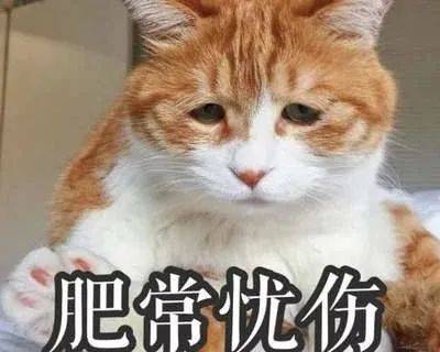 外地一家四口来珠海旅游，回家途中父亲出事被抓！孩子哭闹不止！