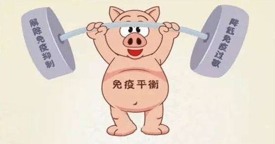 ad07209b5254445e908cd31ca51f22be.png