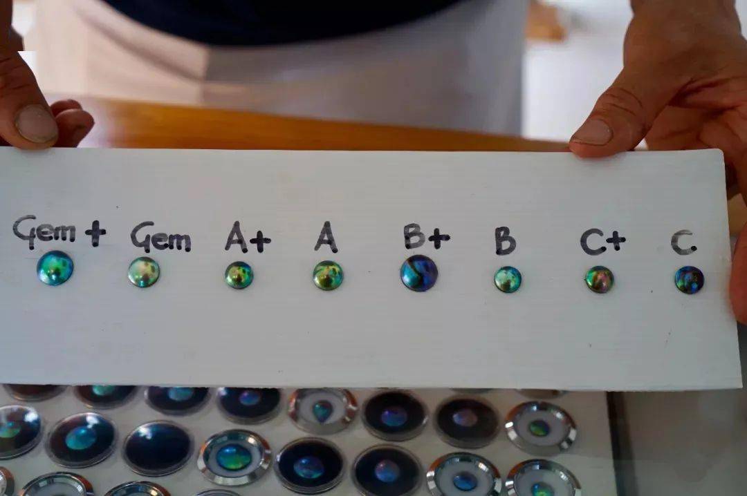 珍珠|这些世间罕见的珍珠，你拿着钱都买不到！