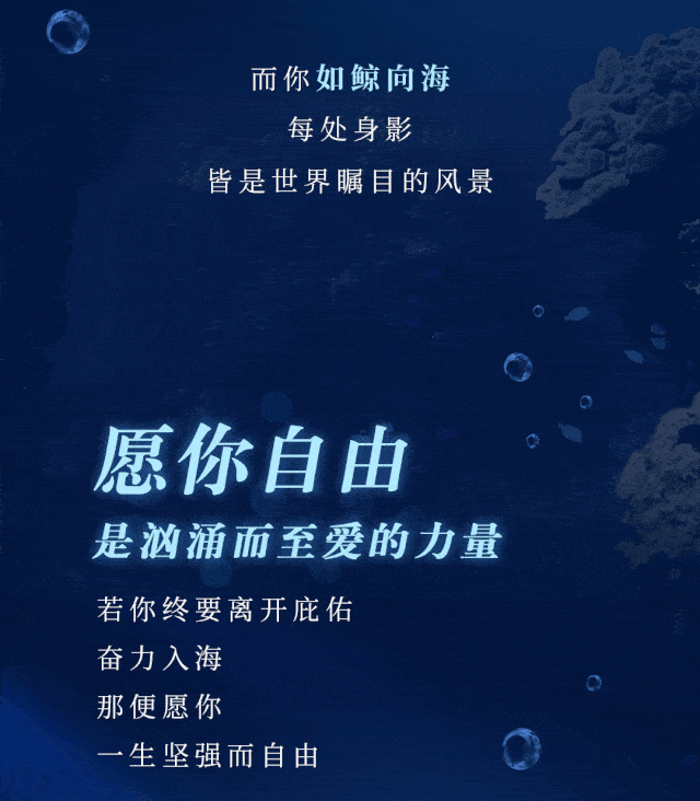 一鹿有你相伴,愿你如鲸向海