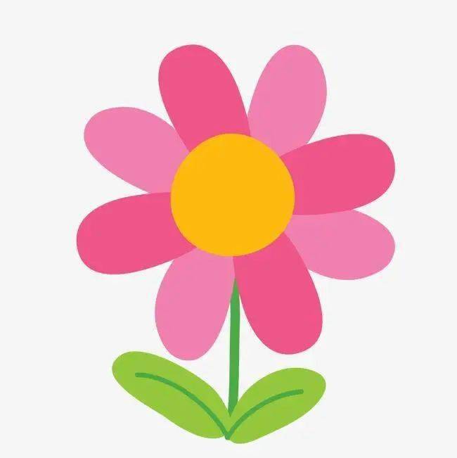 患者|【健康】水果蔬菜我的最爱！血透患友该如何选用？