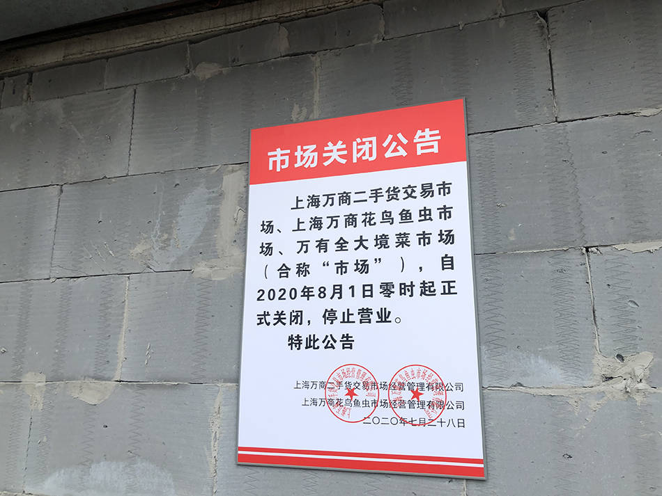 见证|上海市中心最后一家花鸟市场今日关闭，我们见证了最后时光