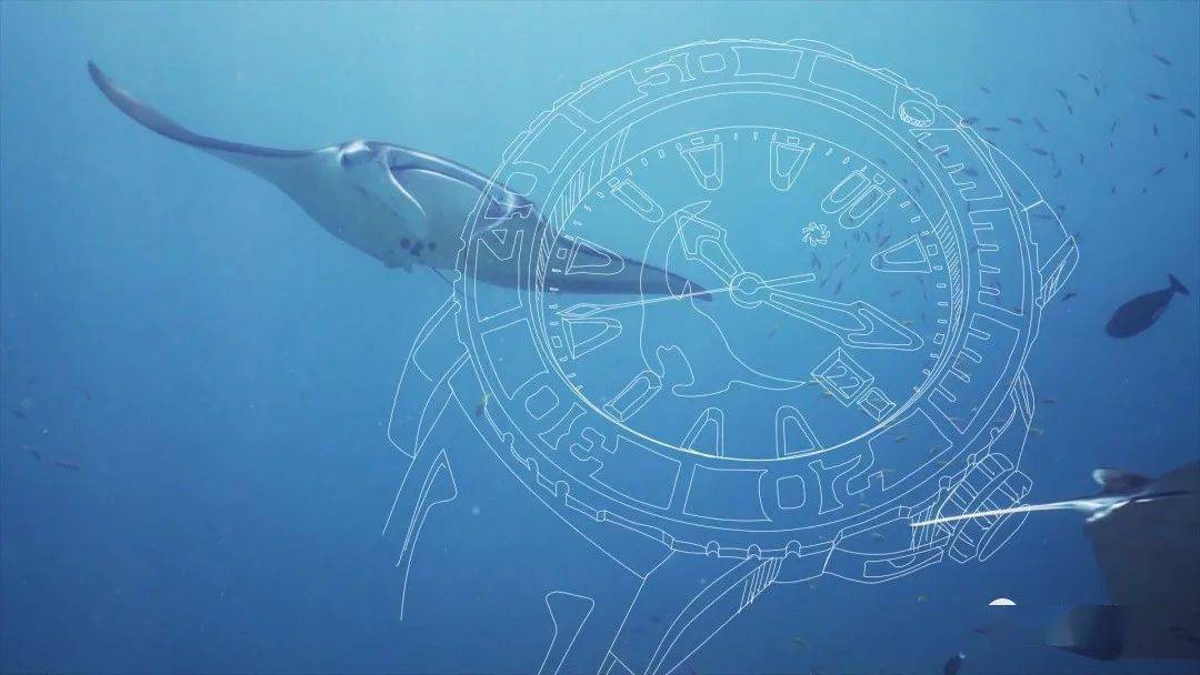 防水|夏天玩水戴什么表？防水吸睛少不了