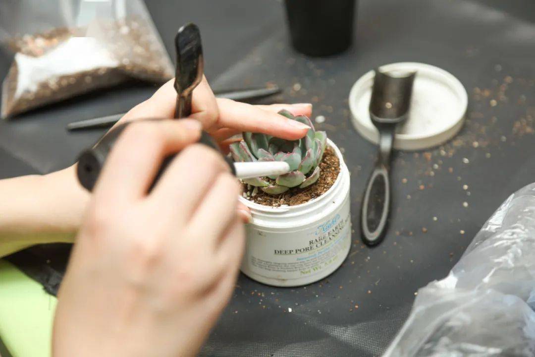 图片|从“粉红回忆”张小雨到“舞台妖精”绮绮子,张雨绮的表情管理到底是怎么练成的?