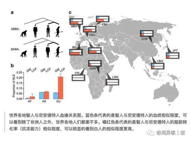 预估2100年人类人口_人类进化图(2)