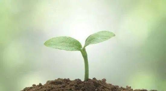 教学法|【解密】新东方七步教学法体系到底是个啥