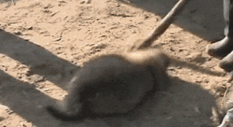 你们都在聊《三十而已》的剧情,我却看到了背后最恶心