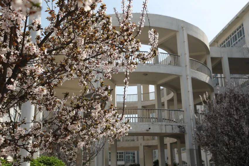 河南财政金融学排名_河南财政金融学院2020年普通高招录取工作取得佳绩