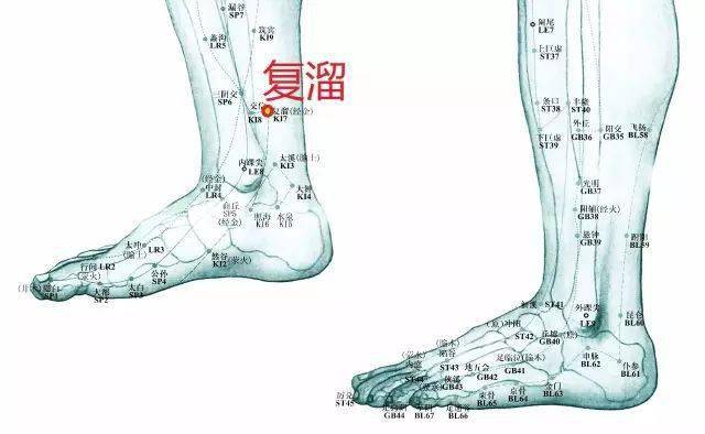 针灸补和泻是什么原理_针灸补泻手法图解