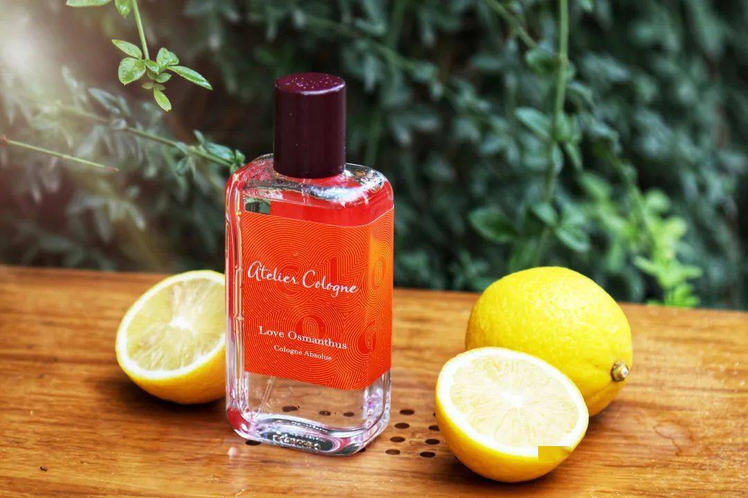 自己怎么做香水桂花 0f48f83c6aed4440946d4309eb21afb4.jpeg