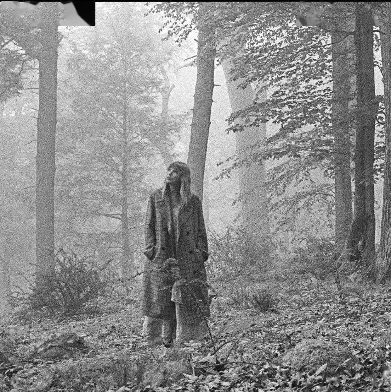 专辑|霉霉新专辑刷新多项纪录，成美国年度首周销量最高专辑