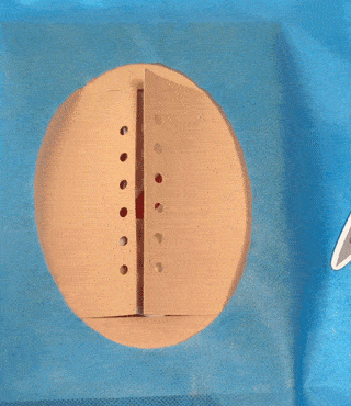 拍x光片,手术缝合,自制血液循环……娃竟然玩了俩小时