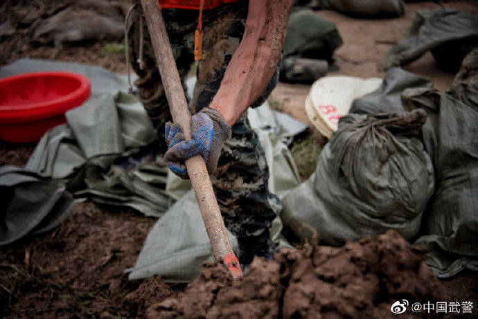 抗洪|抗洪一线军人的手