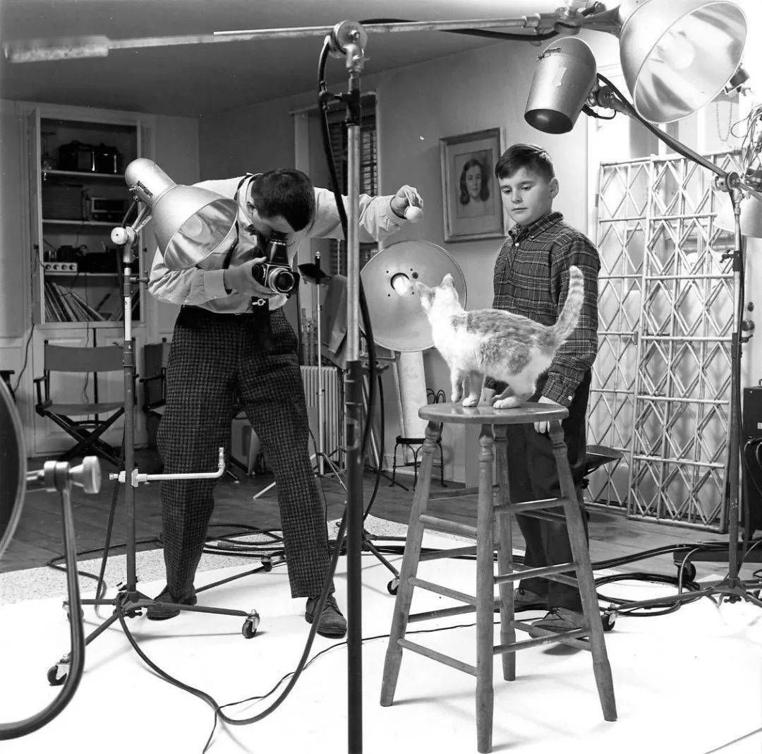 年拍|铲屎官必看!被誉为拍猫教父的他,70年拍猫历史全在这