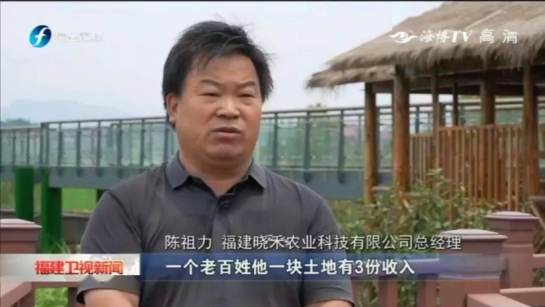 《福建卫视新闻》播出系列报道"点绿成金"的南平