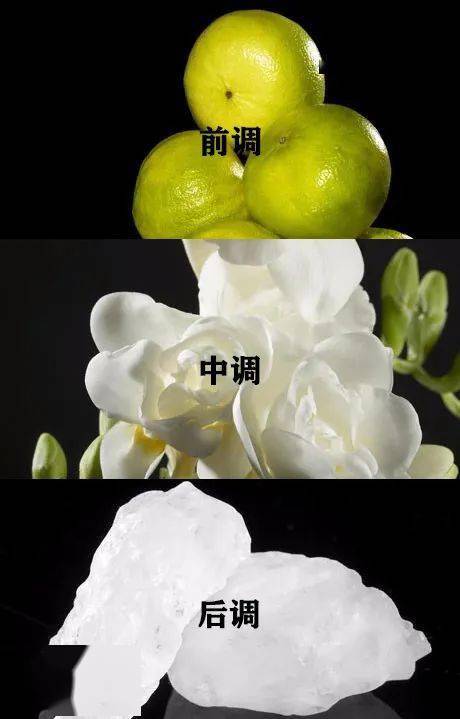 Dior|无法抵挡的女人香丨好物