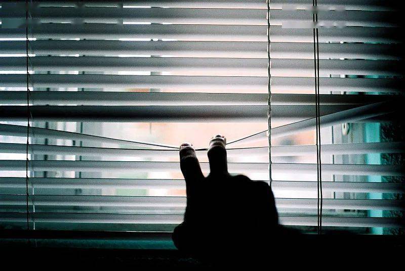 女生|漫展上的制服与偷窥:是女生有伤风化,还是男性偷拍有错?