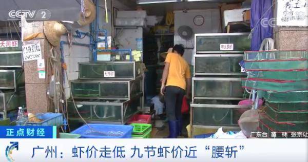进口|大跌！很多人爱的这道菜，价格“对半砍”！