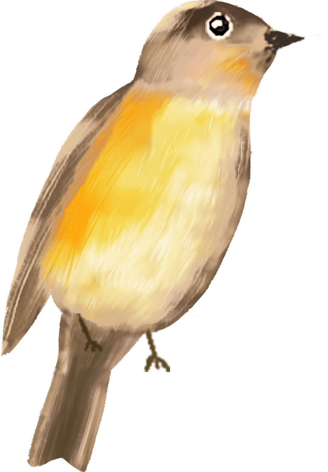 2020华安县新教师笔_2020年华安县公开招聘中小学新任教师第二轮补充招