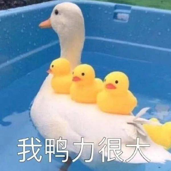 专业|我的专业，真的不是干这个的！