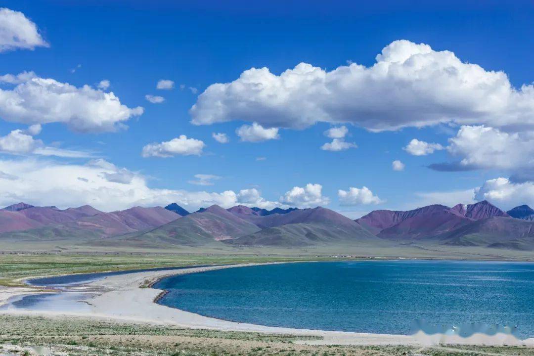 人口纯流入_大理人口流入量图片(3)