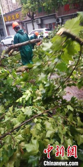 钟新|“黑格比”登陆浙江：向险而行筑屏障 众志成城御风雨