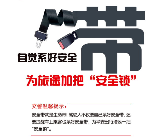 高清无码！高唐曝光一批驾驶机动车不系安全带违法行为