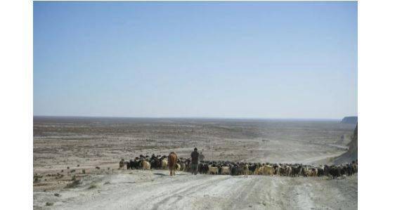 中亚|辞去工作周游世界，当代“精神游牧民族”的异想天地