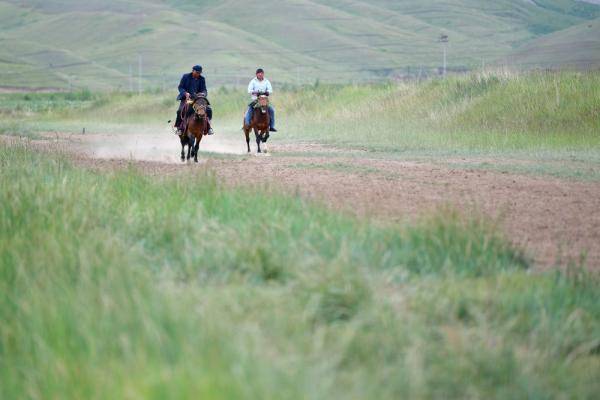 新华社|相马“伯乐”李怀智的好日子