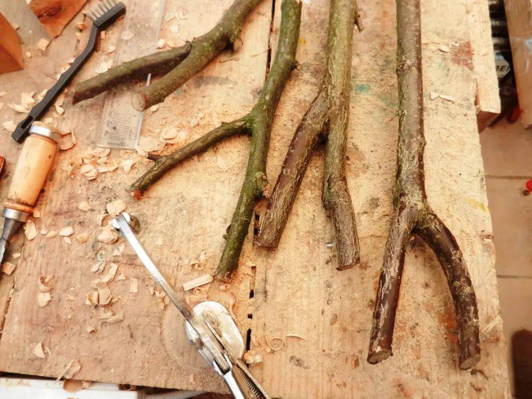 人类|为什么模仿是一个高效的学习策略？