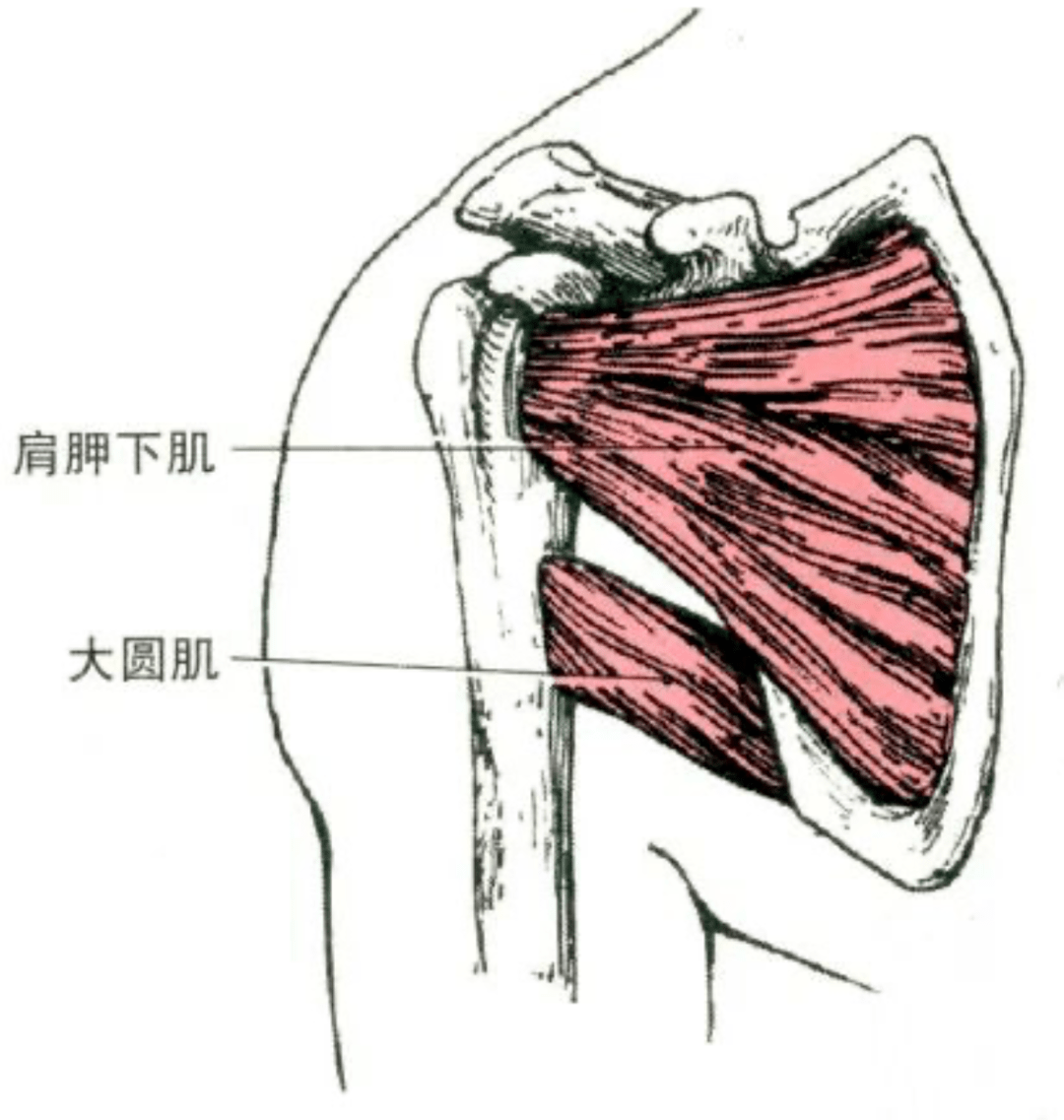 2bc5cb8115c04a9784dc84acc2e42d71.png
